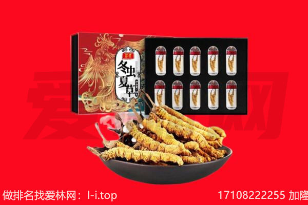 湘西吉首市回收虫草.jpg